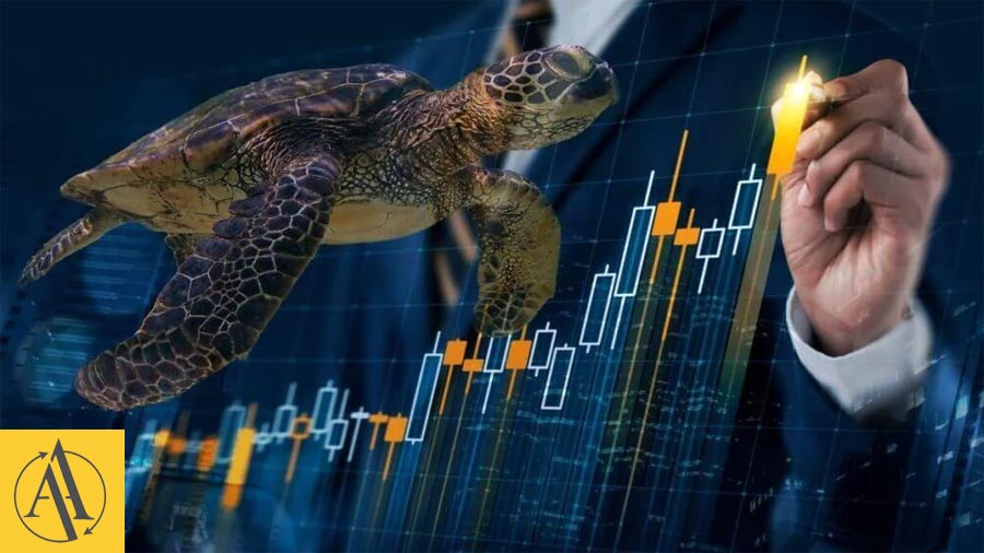 Way of the Turtle 1