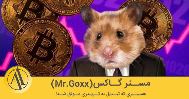 مستر گاکس | آکادمی آینده