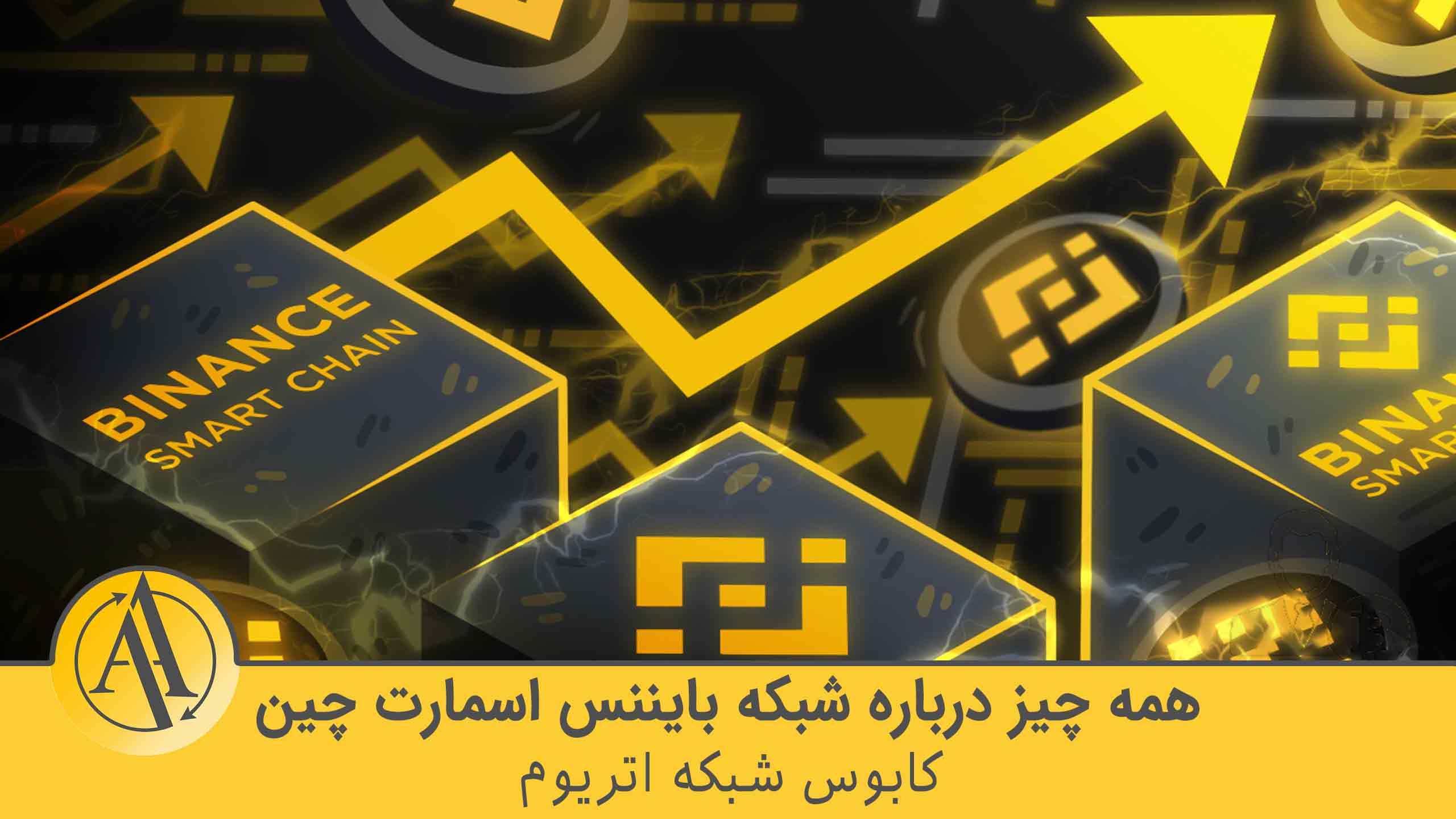 بایننس اسمارت چین | آکادمی آینده