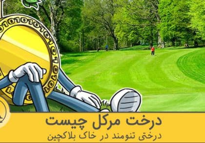 درخت مرکل چیست | آکادمی آینده