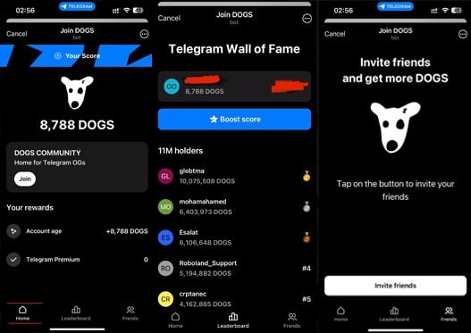 ایردراپ DOGS | آکادمی آینده