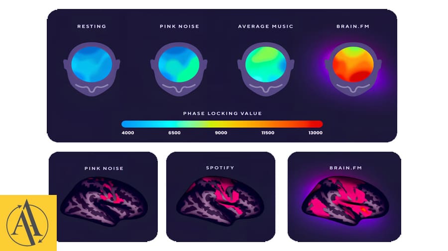 Brain fm platform